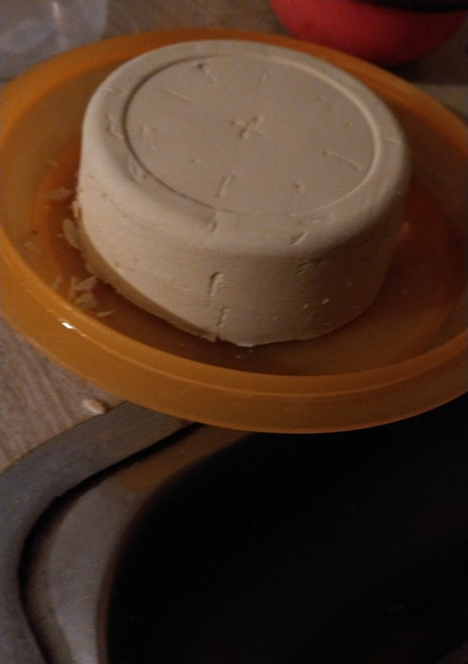 Una foto de Tofu en casa