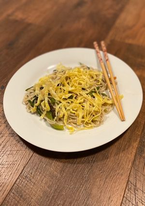 A picture of Saucy Chicken Chowmein Indian Chinese Style.