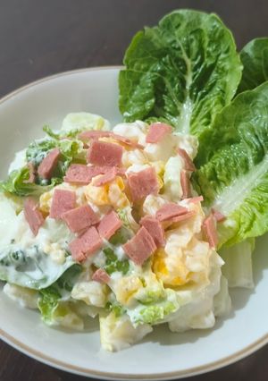 Foto resep Japanese Potato Salad