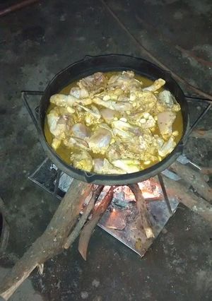 Una foto de Pollo al disco