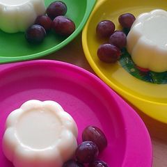 Vickys Blancmange (Vanilla Pudding), GF DF EF SF NF A picture of Vickys Blancmange (Vanilla Pudding), GF DF EF SF NF.