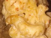 A picture of macaroni shell