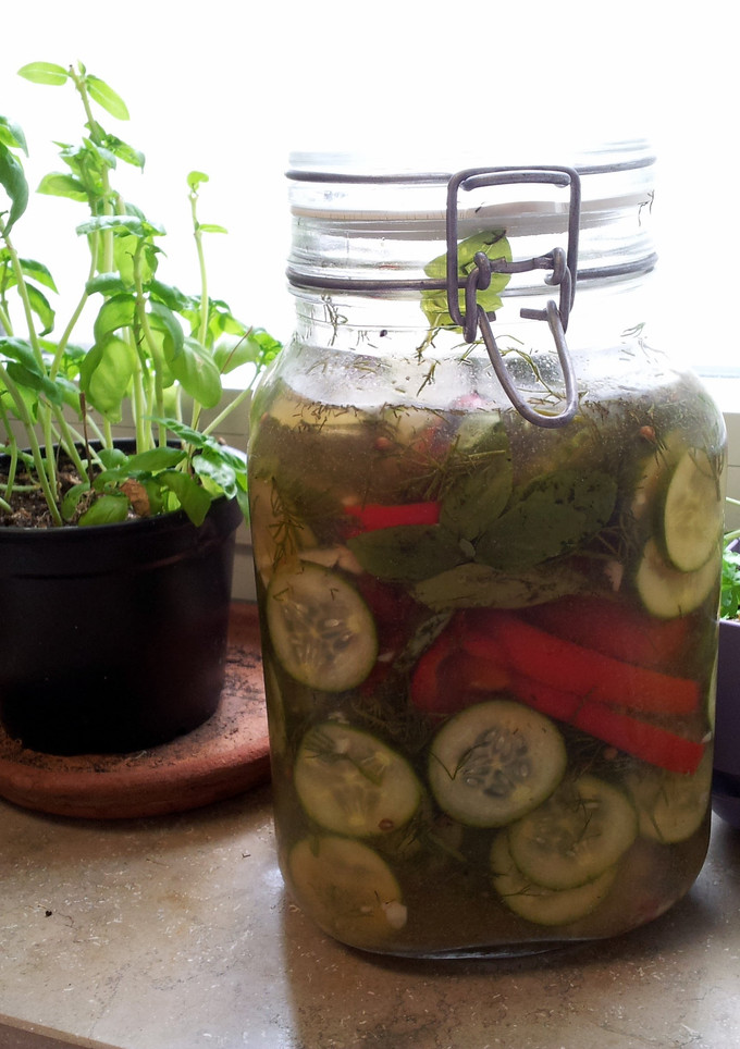 A picture of Michael's Refridgerator Pickles.