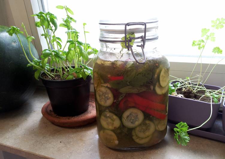 Step-by-Step Guide to Make Homemade Michael’s Refridgerator Pickles