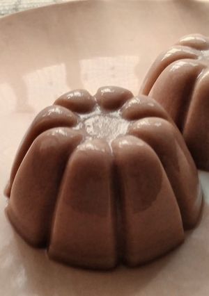 A picture of Milo Milk Pudding.