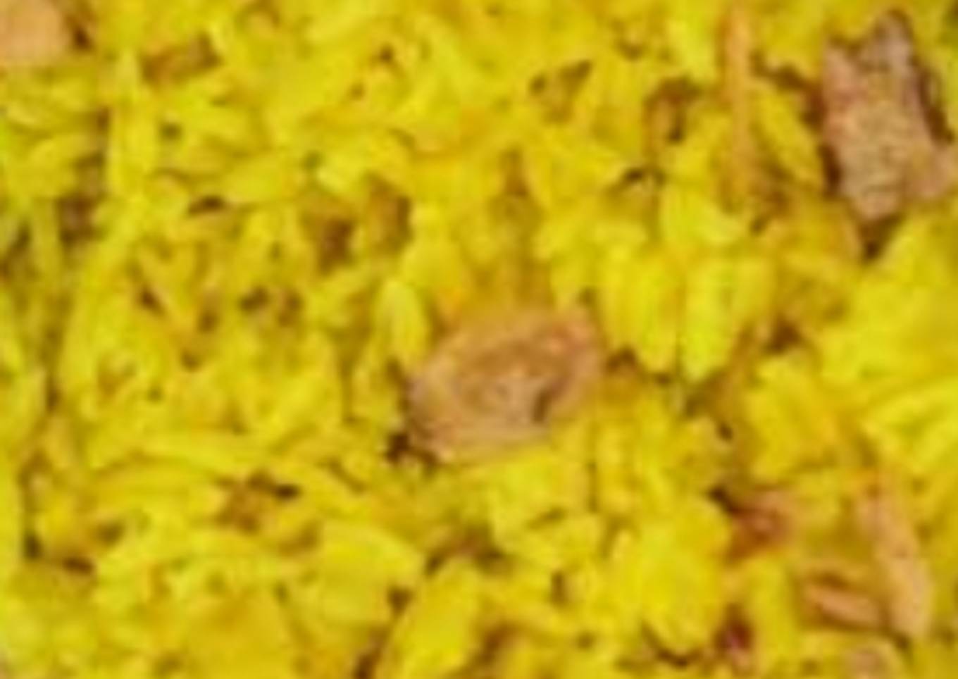 Nasi Kuning Magic Com