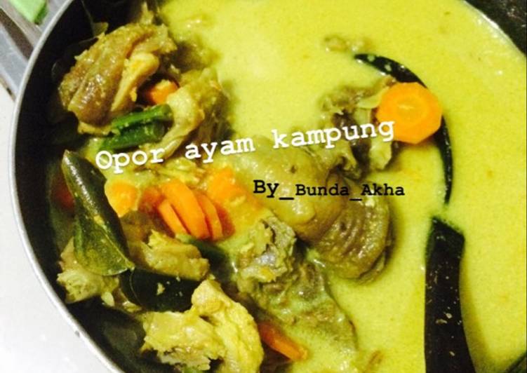 Opor ayam kampung