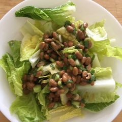 A picture of Natto salad.