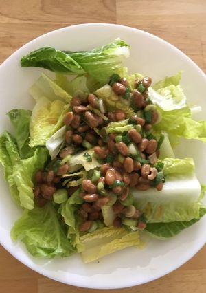 A picture of Natto salad.