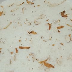 Sabundana Kheer A picture of Sabundana Kheer.