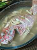Steam Ikan Kakap Merah