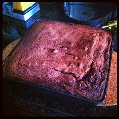 Peppermint Patty Brownies A picture of Peppermint Patty Brownies.