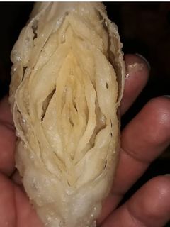 صورة لوصفة قريوش عين الجمل