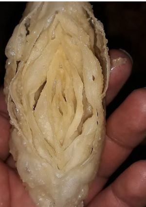 صورة لوصفة قريوش عين الجمل