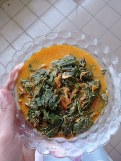 Foto resep Sayur Daun singkong Kuah santan