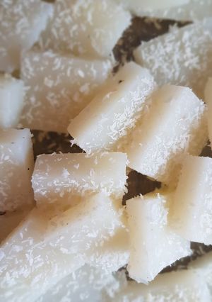 عکسی از دستور باسلوق خونگی