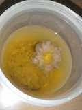 Chrysanthemum Tea