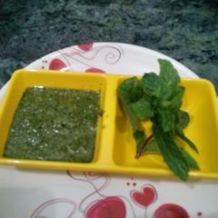 A picture of Fresh mint chutney.