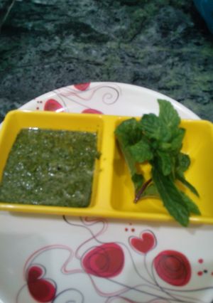 A picture of Fresh mint chutney.