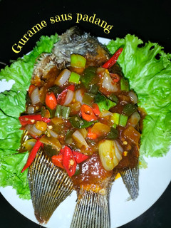 Foto resep Gurame saus padang