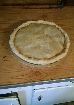 A picture of Oil pastry pie crust.