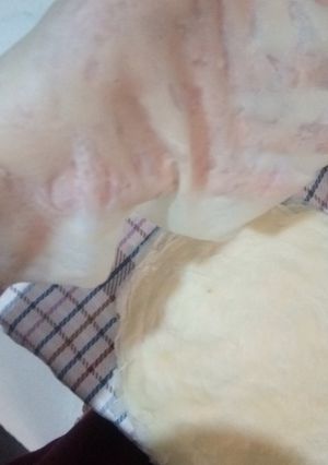 صورة لوصفة ديول مصنوعة في البيت