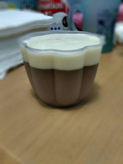 Foto resep Puding susu coklat vla vanila