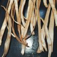 Talitas de queso