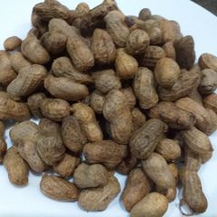 A picture of Garam Garam Peanut.