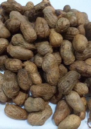 A picture of Garam Garam Peanut.