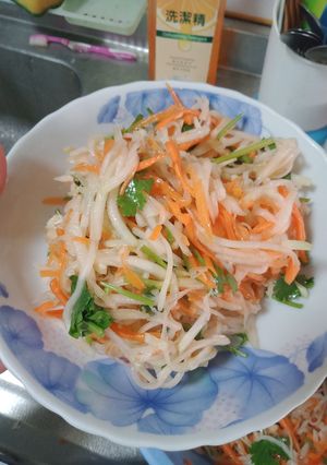 Foto resep Acar Sayur