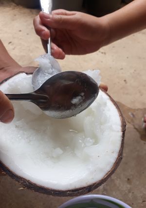 Hình của món Dừa béo.