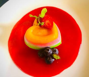 Ready to Serve Multicolour fruit Pannacotta Practical Delicious