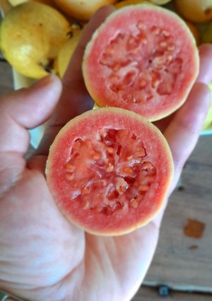 Una foto de Mermelada de Guayaba 😋