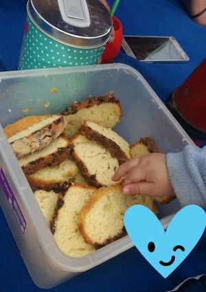 Una foto de Budín con chips