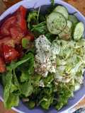 Ensalada de hojas verdes