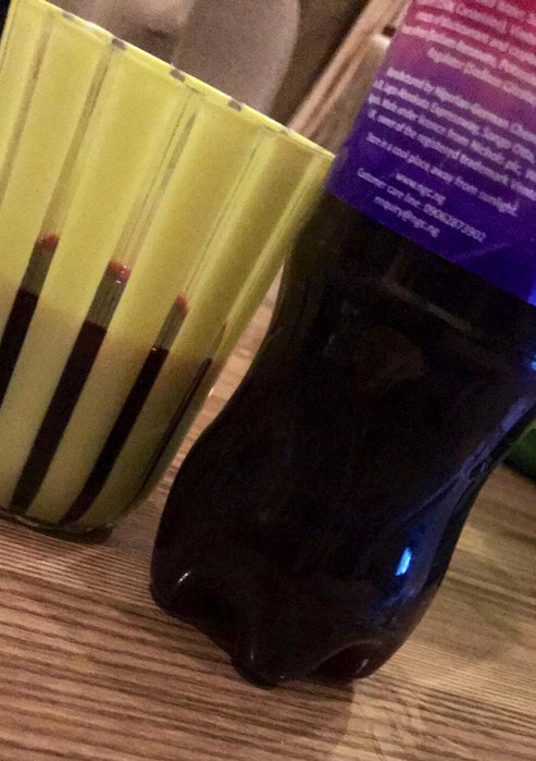 A picture of Zobo.
