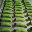 Cookies uler keket