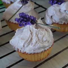 A picture of Lavender cupcakes.