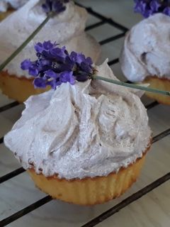 A picture of Lavender cupcakes.