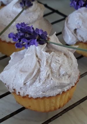 A picture of Lavender cupcakes.