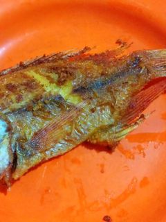 Foto resep Ikan nila goreng (mpasi 1 tahun +)