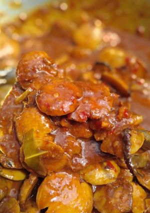 Foto resep Semur jengkol bumbu sate