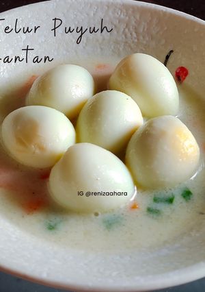 Foto resep Mpasi Telur Puyuh Santan