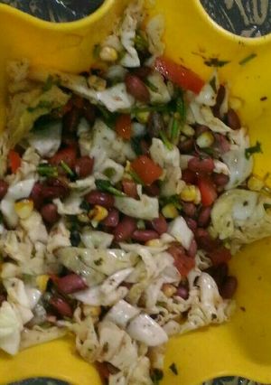 A picture of Mexican Salad.
