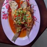 Ikan kerapu saus thailand