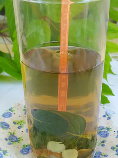 Una foto de Infusión de jengibre y menta