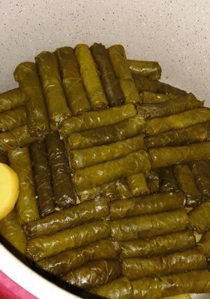 صورة لوصفة محشي ورق العنب الحامض جداً بطريقتي