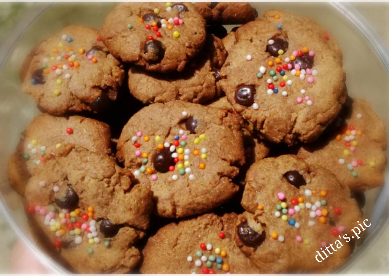Choco Cookies Gandum