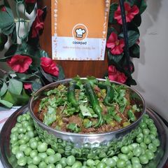 A picture of Qeema mater.